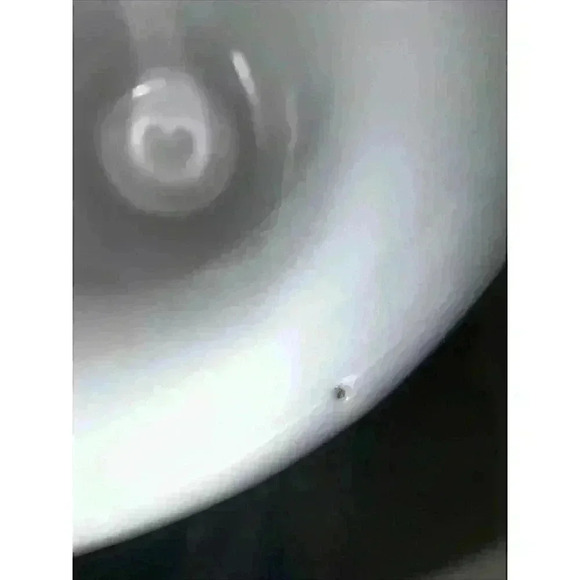 starbucks 2011 tall christmas tree mug. euc - Picture 9 of 12